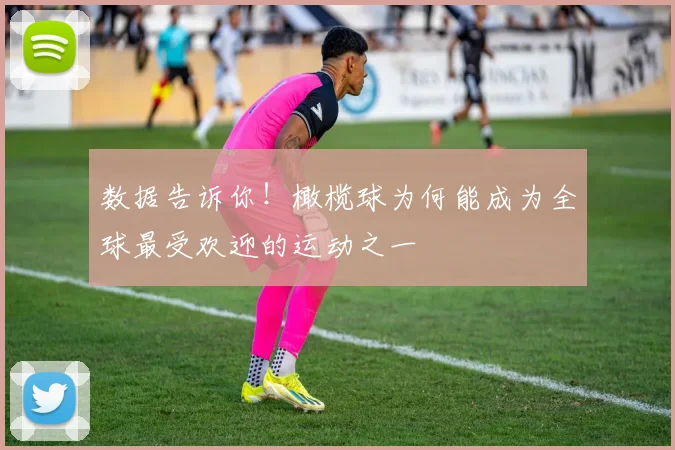 数据告诉你！橄榄球为何能成为全球最受欢迎的运动之一