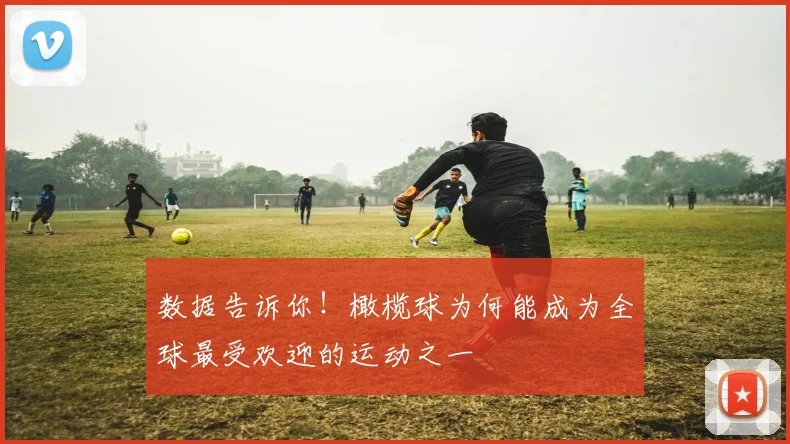 数据告诉你!橄榄球为何能成为全球最受欢迎的运动之一
