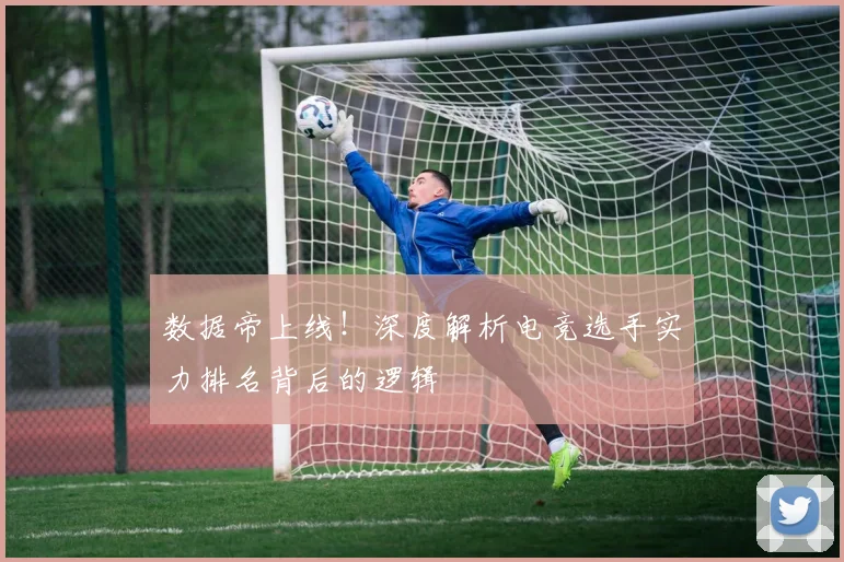 数据帝上线!深度解析电竞选手实力排名背后的逻辑